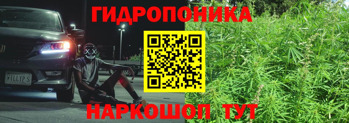 Канабис Ganja  Каннабис MAZAR  Строитель  Вход с VPN 